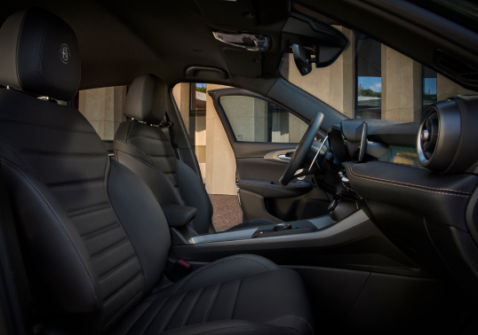 Duygusal Sürüş Dinamikleri